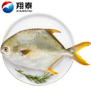 翔泰海南大規(guī)格金鯧魚(yú)550g1條海魚(yú)生鮮魚(yú)類火鍋海鮮水產(chǎn)