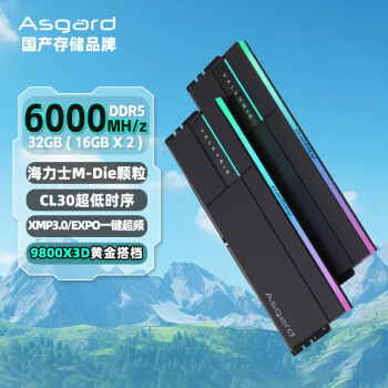 阿斯加特 32GB(16Gx2)套 DDR5 6000 臺式機內存條 RGB燈條-女武神·瓦爾基里Ⅱ代極夜黑