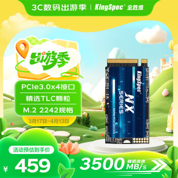 金勝維 KingSpec 1TB SSD固態(tài)硬盤NVMe 2242 M.2接口 PCIe3.0 NXM系列