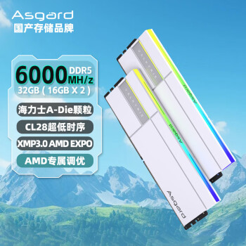 阿斯加特 32GB(16Gx2)套 DDR5 6000 臺式機內(nèi)存條 RGB燈條-女武神·瓦爾基里Ⅱ代極地白