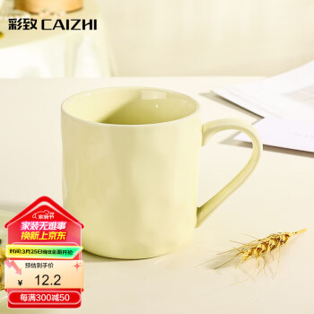 彩致 CAIZHI 馬克杯家用陶瓷水杯泡茶杯辦公室咖啡杯