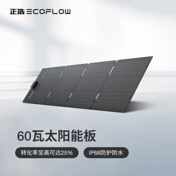 ECOFLOW 正浩 太阳能电池板60W光伏发电板家用户外露营折叠便携充电