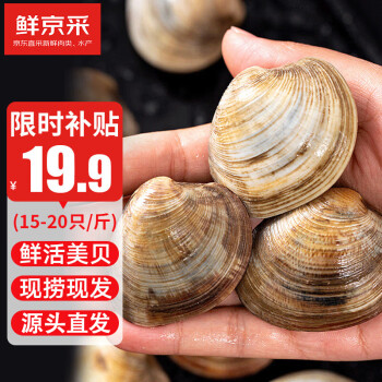 鲜京采 鲜活大美贝 5斤 每斤15-20粒
