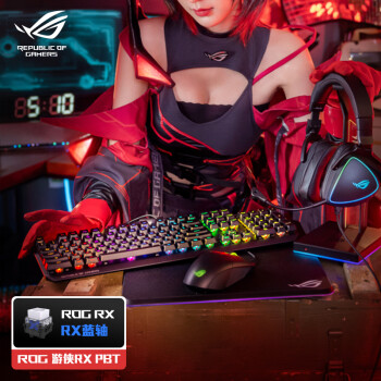 玩家國度 ROG 游俠RX PBT版 機(jī)械鍵盤104鍵 黑色 RX光軸