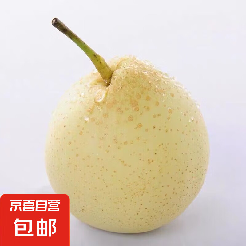 京喜 赵州水晶鸭梨 单果180g 鸭梨带箱4斤单果150g+ 3.5元