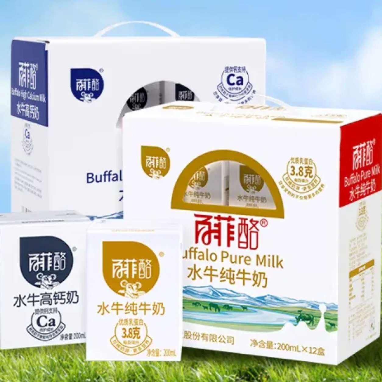 百菲酪 水牛純牛奶200ml*12盒*2箱 74元（合37元/箱）