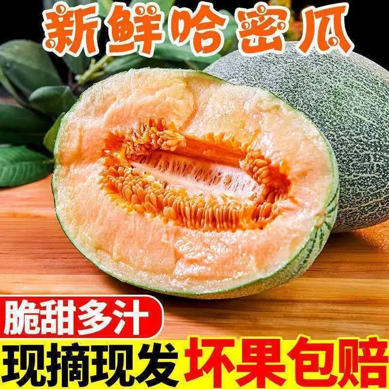 海南哈密瓜新鲜脆甜水果 现摘当季整箱哈密瓜孕妇水果 9斤(净重8.5斤)3-5个 超值装 21.9元(省钱卡后19.9)