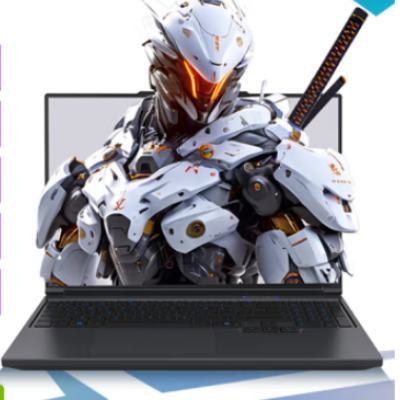 23號21點(diǎn)新品：機(jī)械革命 極光X Pro 16英寸 酷睿i7HX 游戲本(i7-14650HX 32G 1T RTX5070Ti 2.5K屏 300Hz 黑) 7959.21元