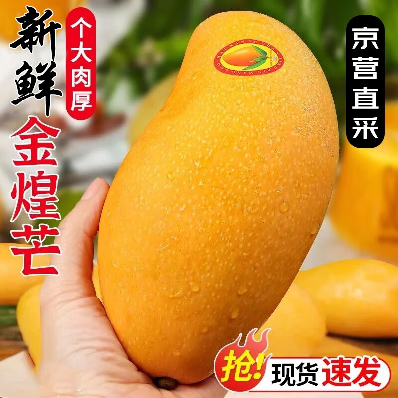三亞芒果金煌芒 10斤裝(凈果8.5-9斤)單果250g+ 24.69元（需領(lǐng)券）