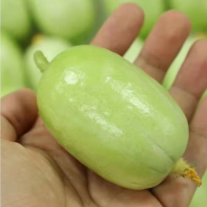PLUS包邮：玉女水果黄瓜新鲜现摘减脂首选生吃脆嫩新鲜蔬菜早餐超市专攻 玉女黄瓜 2斤 实惠装 带箱 4.5元（需领券）