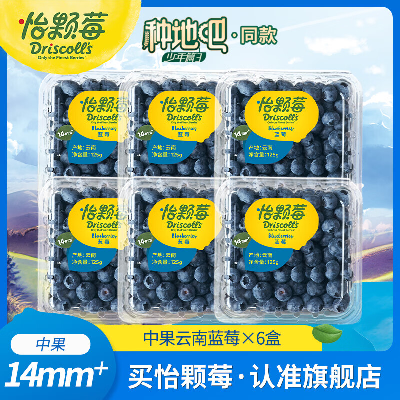 Driscoll\'s 怡顆莓 云南藍(lán)莓 125g*6盒 39.4元（需買2件，需用券）