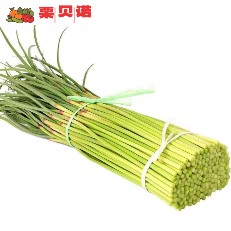 京地達(dá) 山東新鮮蒜苔凈重2斤 長(zhǎng)約35cm+ 新鮮蔬菜 鮮嫩蒜苔 源頭直發(fā)包郵 9.79元
