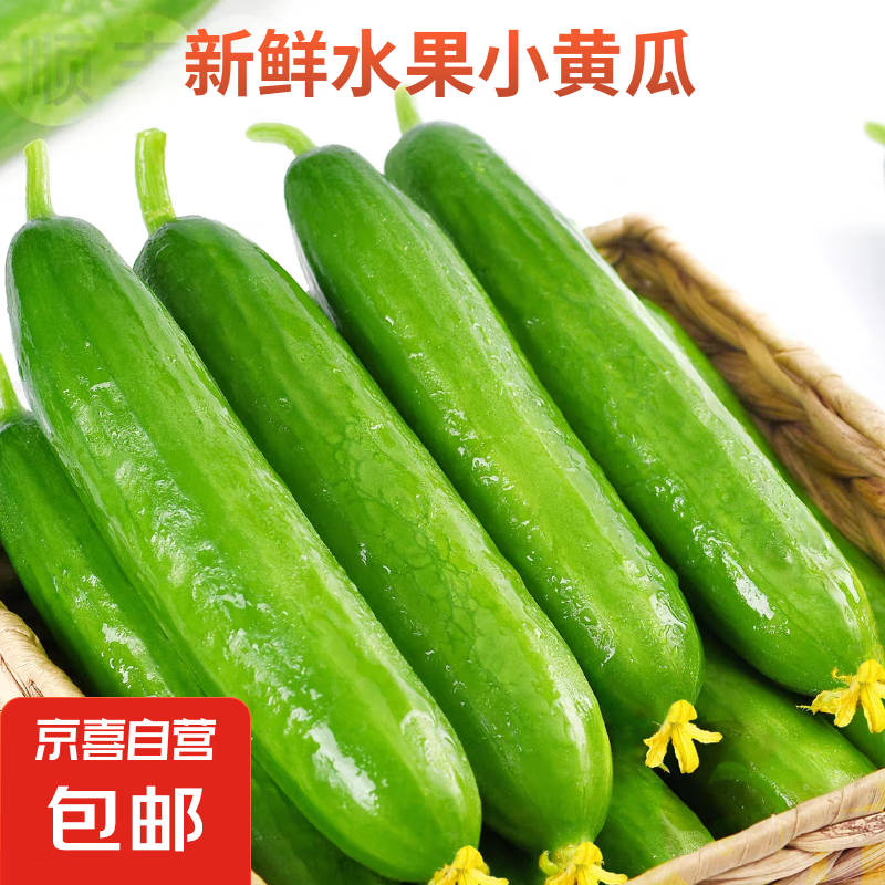 京喜加 新鮮無刺水果小黃瓜 3斤帶箱 4.8元