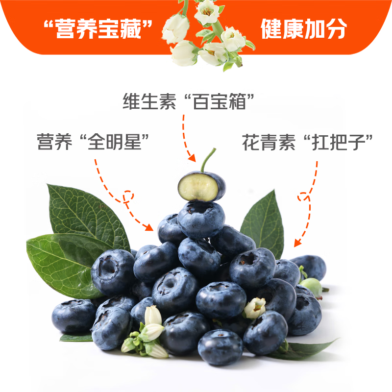 限移动端、京东百亿补贴：京鲜生 云南蓝莓（15mm+）125g*12盒 券后67.83元