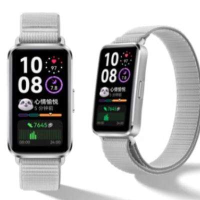 华为（HUAWEI）手环10 标准版 苍穹灰 智能手环 215.9元