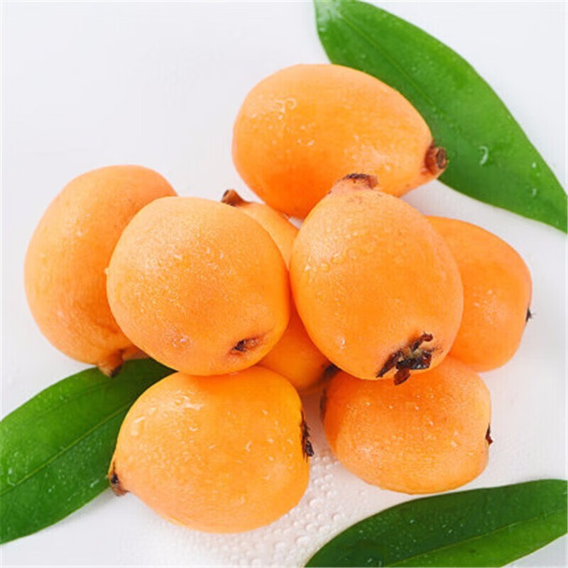 京覓 攀枝花米易枇杷 2斤 大果 單果40-50g 源頭直發(fā) 券后24.9元