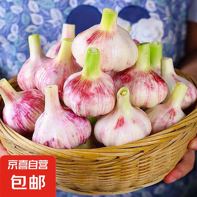 云南紫皮新鲜湿蒜2斤装 1000g 果径 4-5cm 省钱卡后2.49元（4.49元）