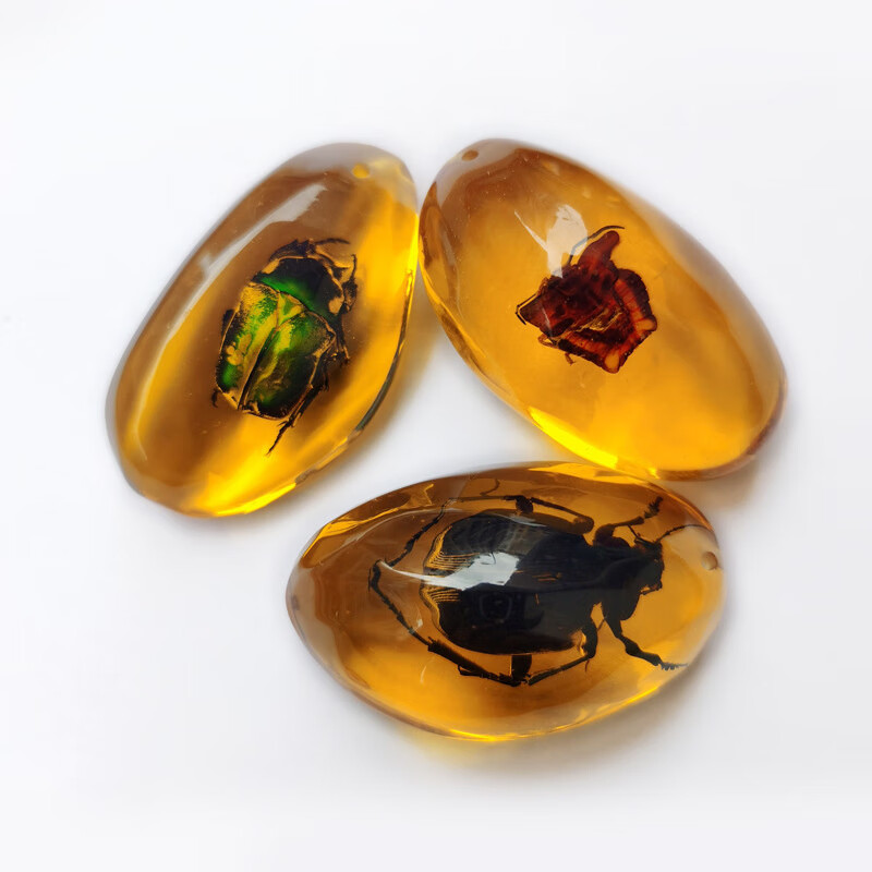 天然昆虫琥珀标本 混色随机 券后4.15元