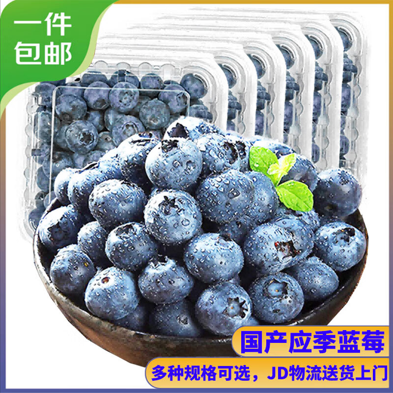 京豐味 云南藍莓 新鮮國產(chǎn)水果 單果14mm以下 100g-125g/盒 6盒 券后24.9元