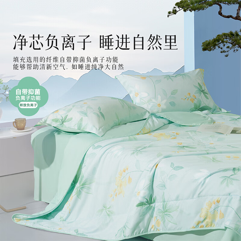 百丽丝 茶氨酸抗菌空调被 150cm*200cm 茶氨酸绿净芯负离子 35元
