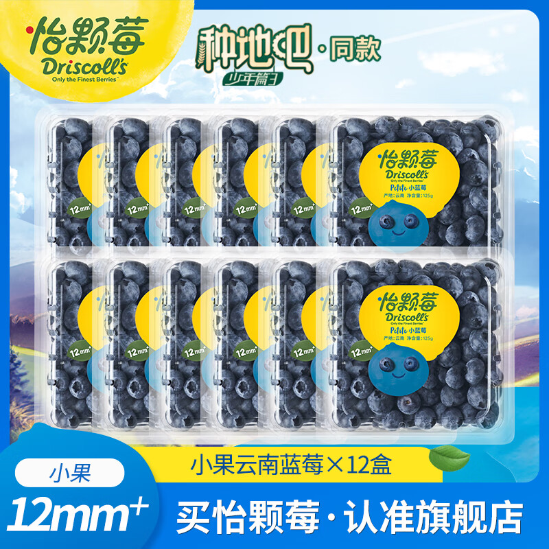 Driscoll\'s 怡顆莓 云南藍莓 125g*12盒 券后63.21元