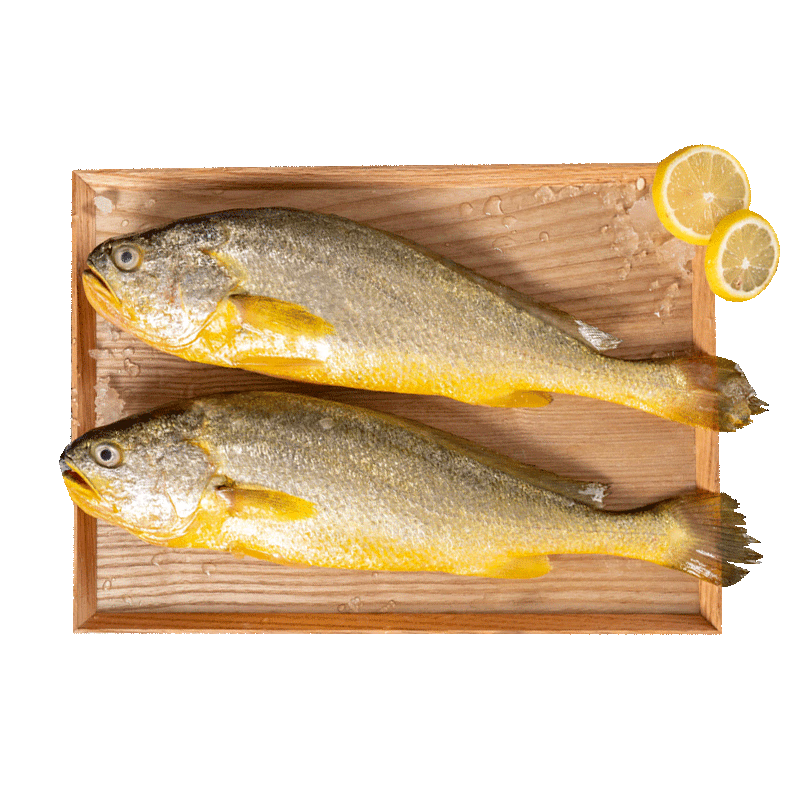 三都港速冻黄花鱼宁德特产大黄鱼新鲜海鲜冷冻水产烹饪食材生鲜鱼类 三去黄花鱼800克/2条装 116.8元（需领券，合58.4元/件）