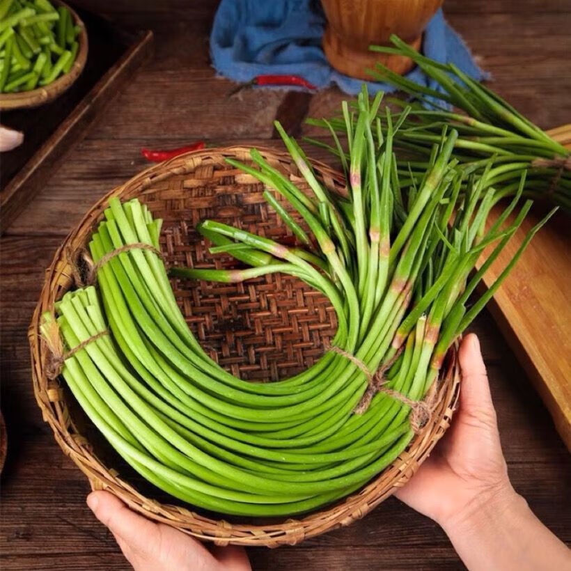 新鮮長蒜苔長度30cm粗細適中色澤飽滿高品質(zhì)蒜苔手感光滑 新鮮長蒜苔 1000g 3.45元