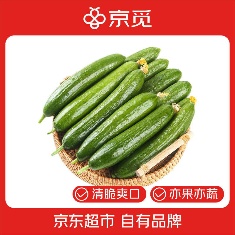 京覓山東荷蘭水果小黃瓜 凈重4斤 生鮮蔬菜水果現(xiàn)摘先發(fā) 源頭直發(fā) 11.63元（需領(lǐng)券）