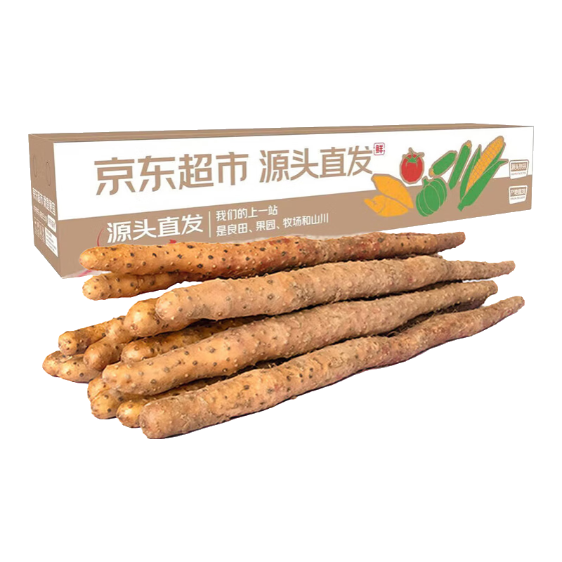 plus会员:京鲜生 河南焦作温县垆土铁棍山药净重5斤 单根40cm+ 蔬菜 源头直发 19.58元