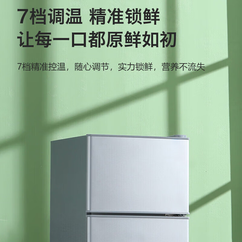 日普（RIPU）小冰箱迷你小型雙門家用一級(jí)能效宿舍出租房辦公室節(jié)能省電冷藏冷凍電冰箱 【一級(jí)能效】86升銀色【3天約用1度電】 349.2元（需領(lǐng)券）