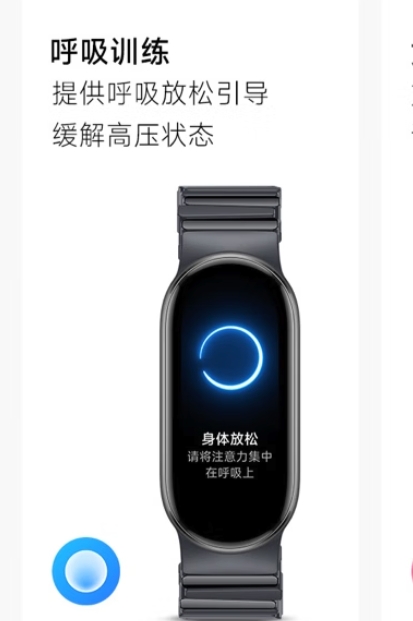 小米 Xiaomi 手環(huán)9 標準版 智能手環(huán) 黑色 203.15元