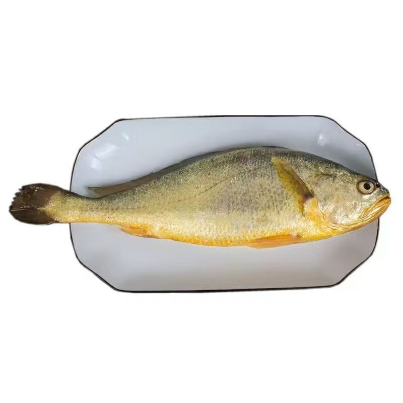 ?肉質(zhì)鮮美）黃花魚特大深海新鮮大黃魚 大黃魚 400-500克 3 券后90元