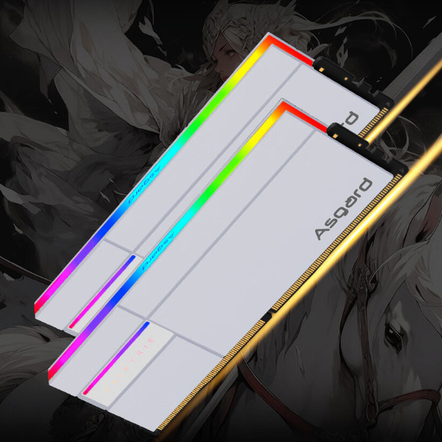 阿斯加特 女武神·瓦爾基里Ⅱ代 DDR5 6800MHz 臺式機(jī)內(nèi)存 48GB(24Gx2) 1079元