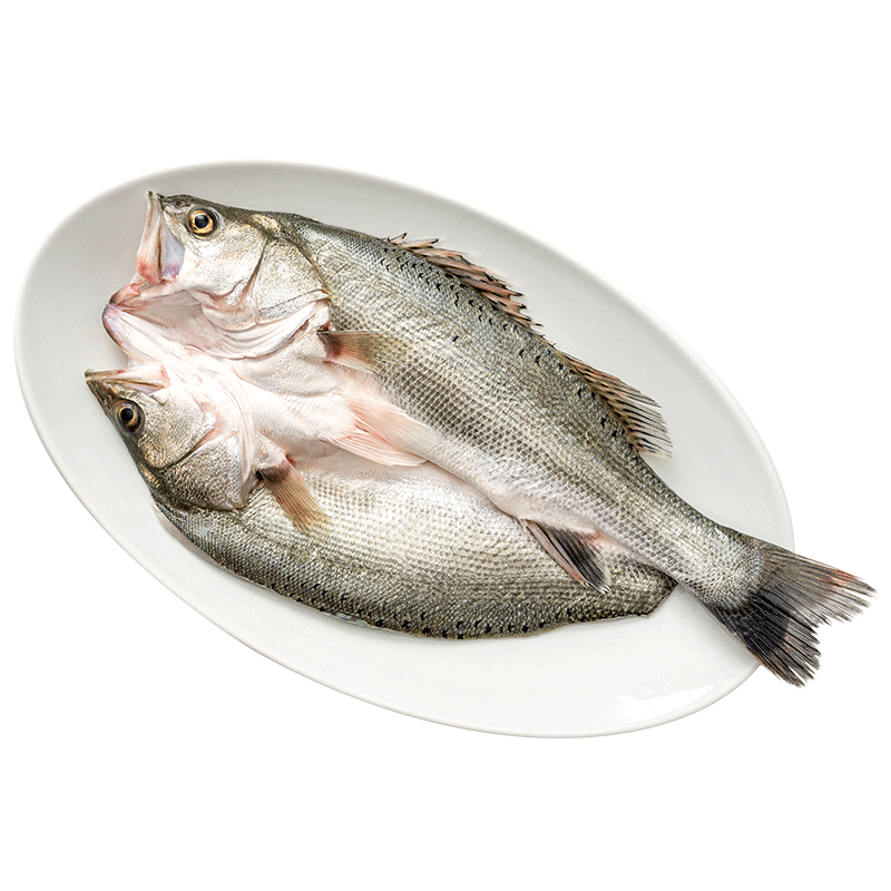 黃小漁 寧德三去海鱸魚 3.6斤/3條 冷凍開背鱸 59.9元