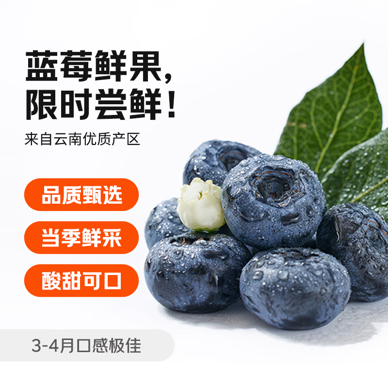 京鮮生 國(guó)產(chǎn)藍(lán)莓（15mm+）125g*4盒裝 21.95元（需買2件，需用券）