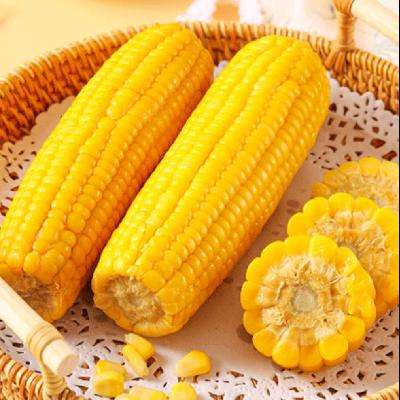 黃糯玉米 140g-180g *2件 6.03元（合3.02元/件，買一贈一）