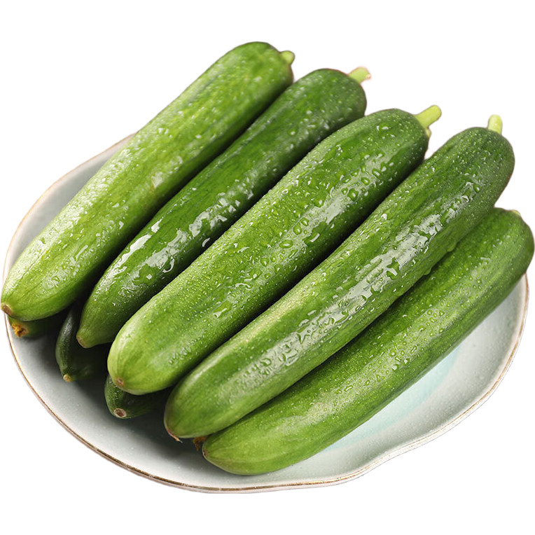 再降价: 佳农宝菜 水果小黄瓜 净重4斤  9.73元（需领券）(微信小程序购买)