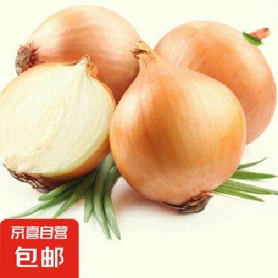 再降价：京喜自营 新鲜黄洋葱 500g *2件 合0.99元/件，1.99元包邮(买一送一)