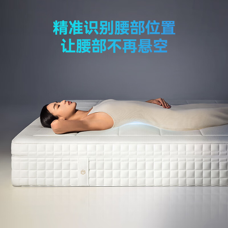 京东京造 EasyZzz AI智适应床垫 智能调节软硬自适应身体曲线 床垫1.8x2米 2950.36元