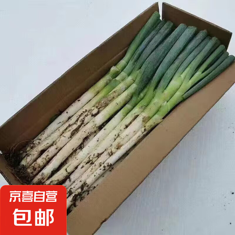 山東鐵桿大蔥 新鮮甜蔥 5斤 帶皮去半葉 券后6.7元