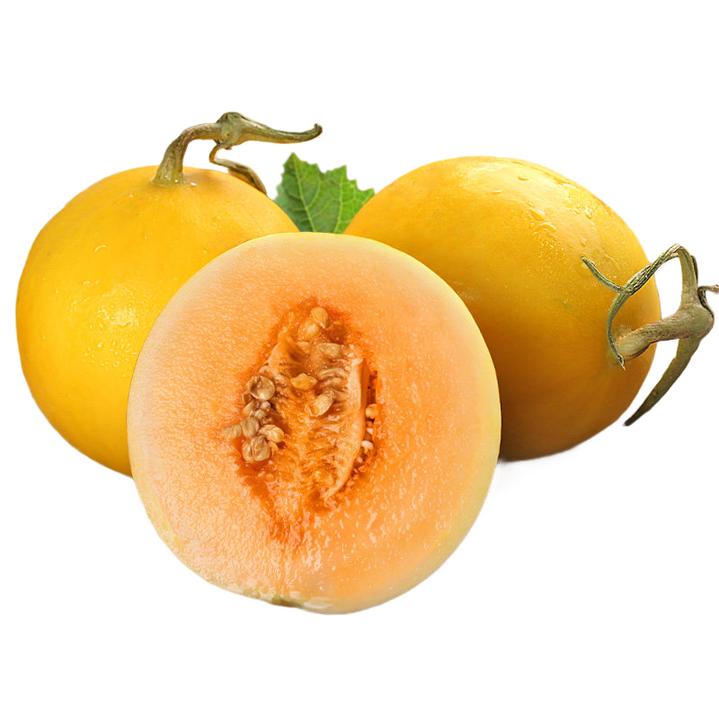 華北強 甘肅黃金蜜瓜 凈重4.5斤 12.7元（需領券）(微信小程序購買)