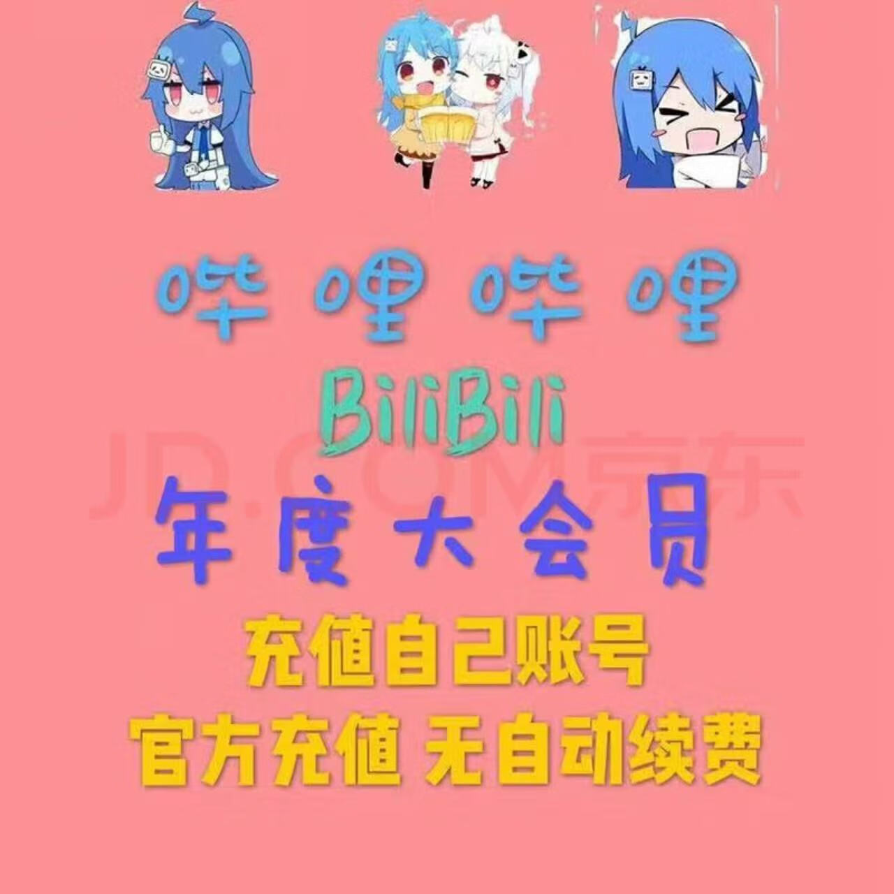哔哩哔哩大会员一年 bilibili B站一年大会员 1年 12个月 一次到账1年（不支持电视） 76.66元