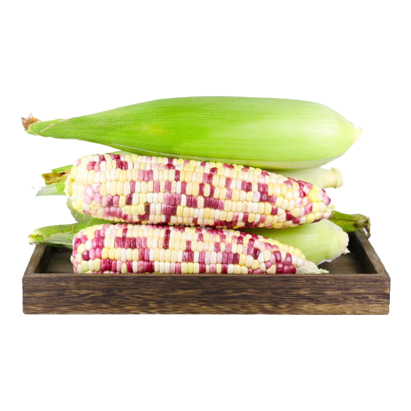 微信小程序：京覓花糯玉米凈重3斤 4-6根單果300g+  12.39元（需湊單）
