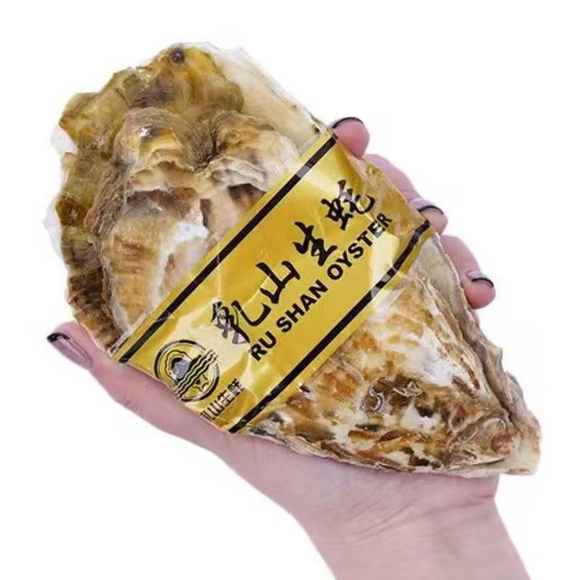 新鲜 乳山生蚝 4XL特大 2.5斤 单个4-5两 顺丰冷链 30元（需买2件，需用券）