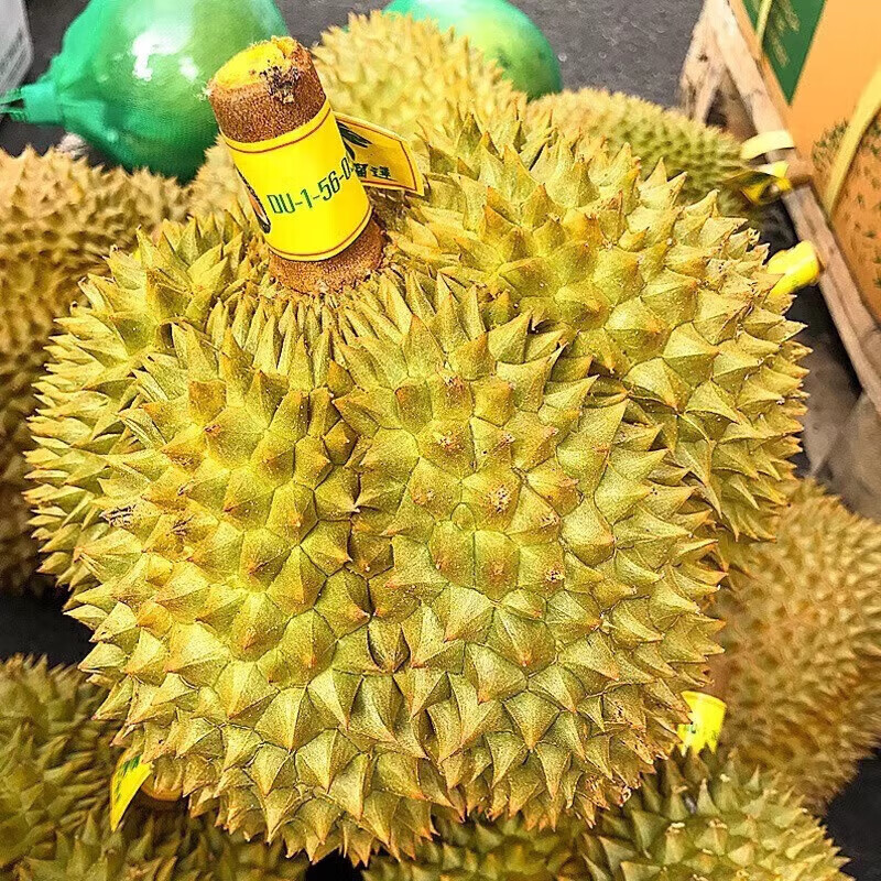 梓颐泰国金枕榴莲新鲜果整箱长柄榴莲金枕头进口A果整个带壳热带水果 商超级|30年老树果 净重单果2.1-3.1斤（包3房） 54.9元（需领券）
