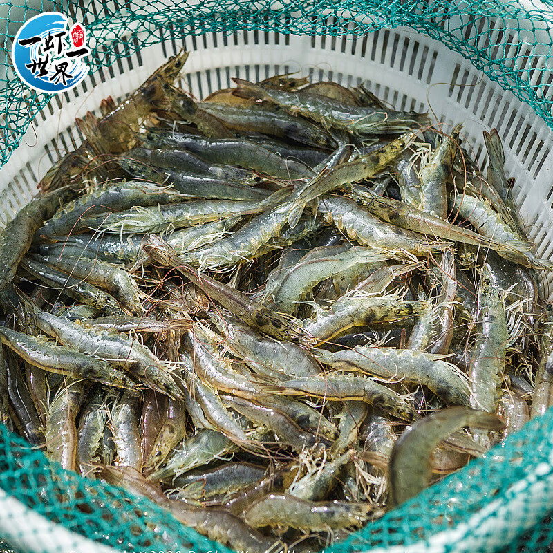 一蝦一世界 羊毛小白蝦 4斤(凈重) 券后49.9元