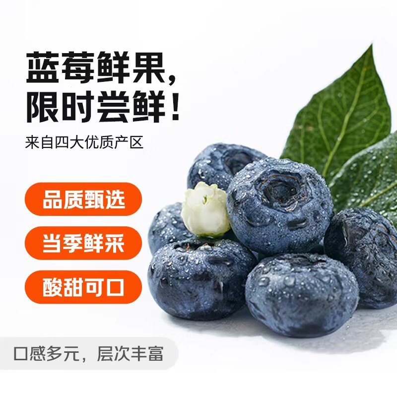 京鲜生 国产蓝莓 4盒 14mm+装125g/盒 生鲜水果 源头直发 包邮 21.9元