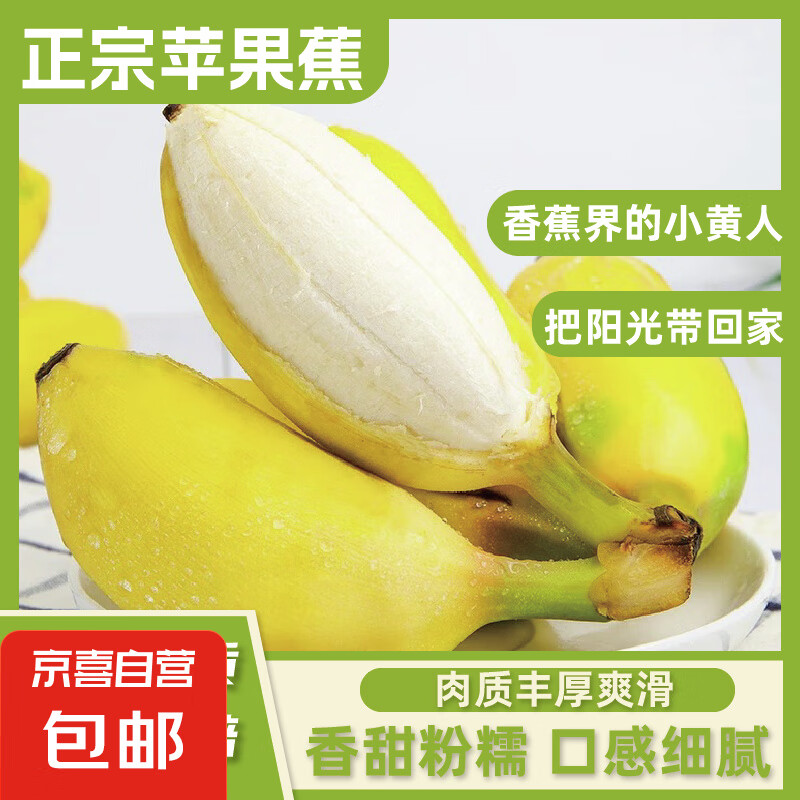 正宗蘋果蕉廣西香蕉自然熟新鮮水果奶蕉粉蕉小米芭蕉鵬貿(mào) 帶箱2斤 5元（需領(lǐng)券）