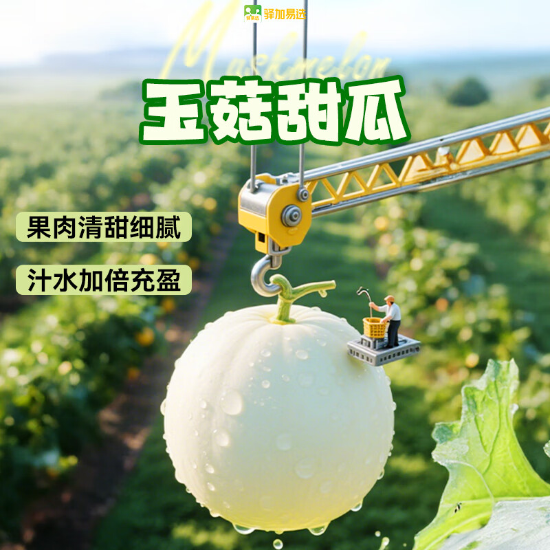 【顺丰包邮】山东玉菇甜瓜 3斤【送勺子】 9.9元（需领券）