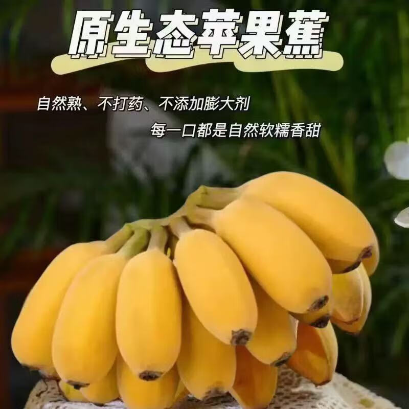禁止蕉绿 可食用自然熟苹果蕉小米蕉 3~ 4斤 带箱 赠送吊牌 11.9元（需领券）